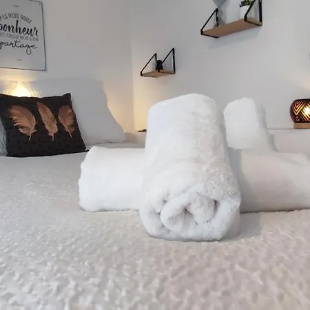 Studio Cosy Renove-2 Pers-quartier Halles-bureau Apartment Pau